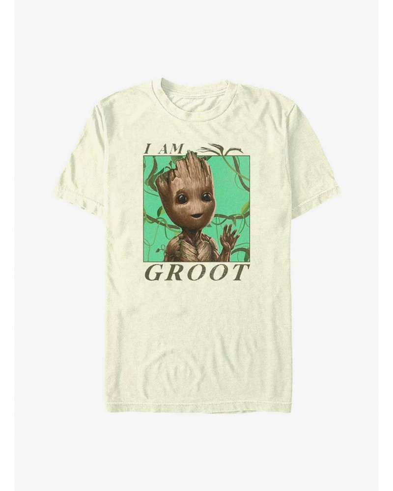 Marvel Guardians of the Galaxy Jungle Vibes T-Shirt $8.13 T-Shirts