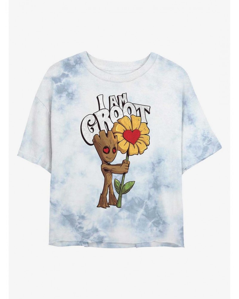 Marvel Guardians of the Galaxy Mine Groot Tie-Dye Girls Crop T-Shirt $11.85 T-Shirts